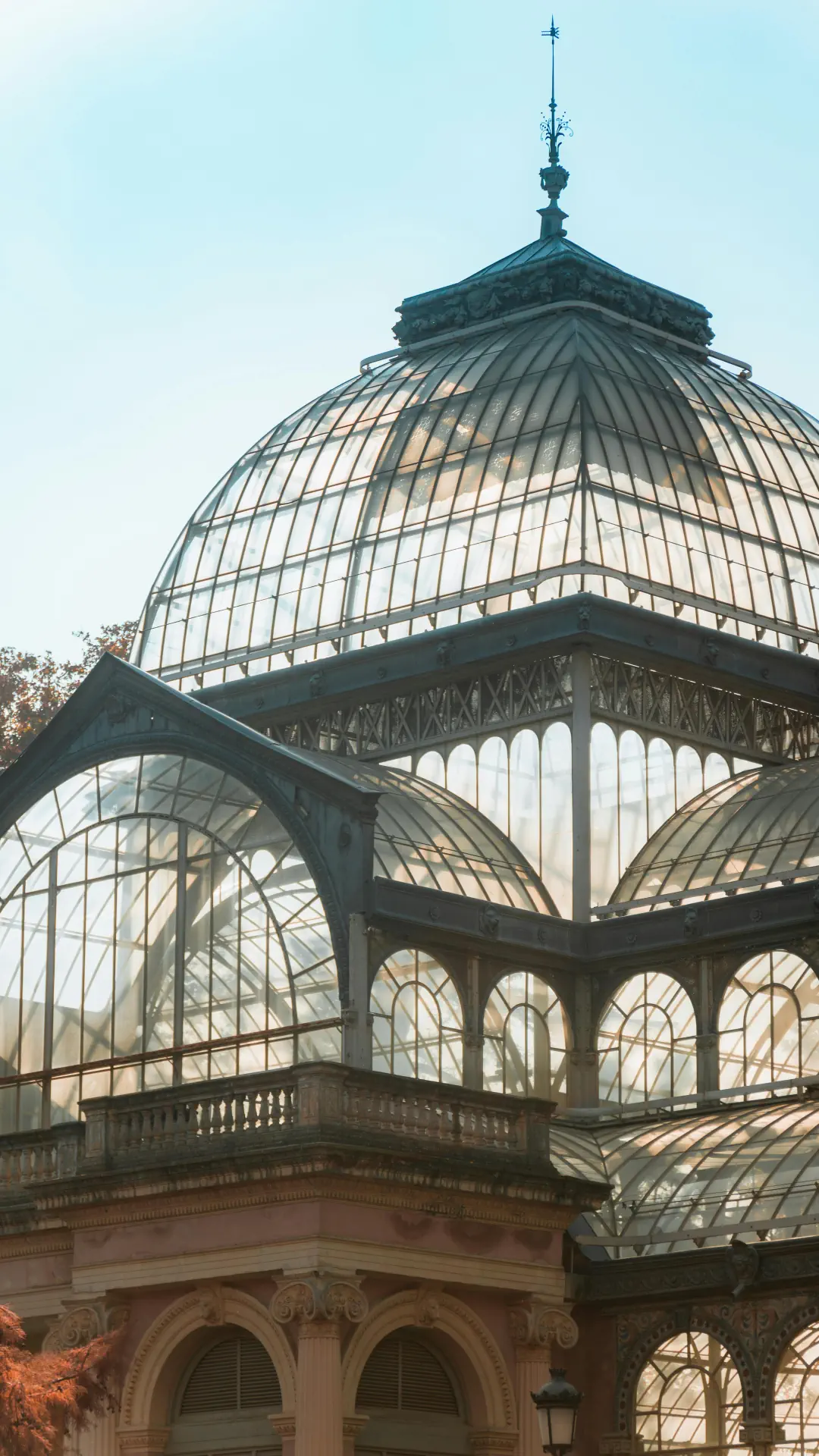 pexels-eddievaldes155-19555626