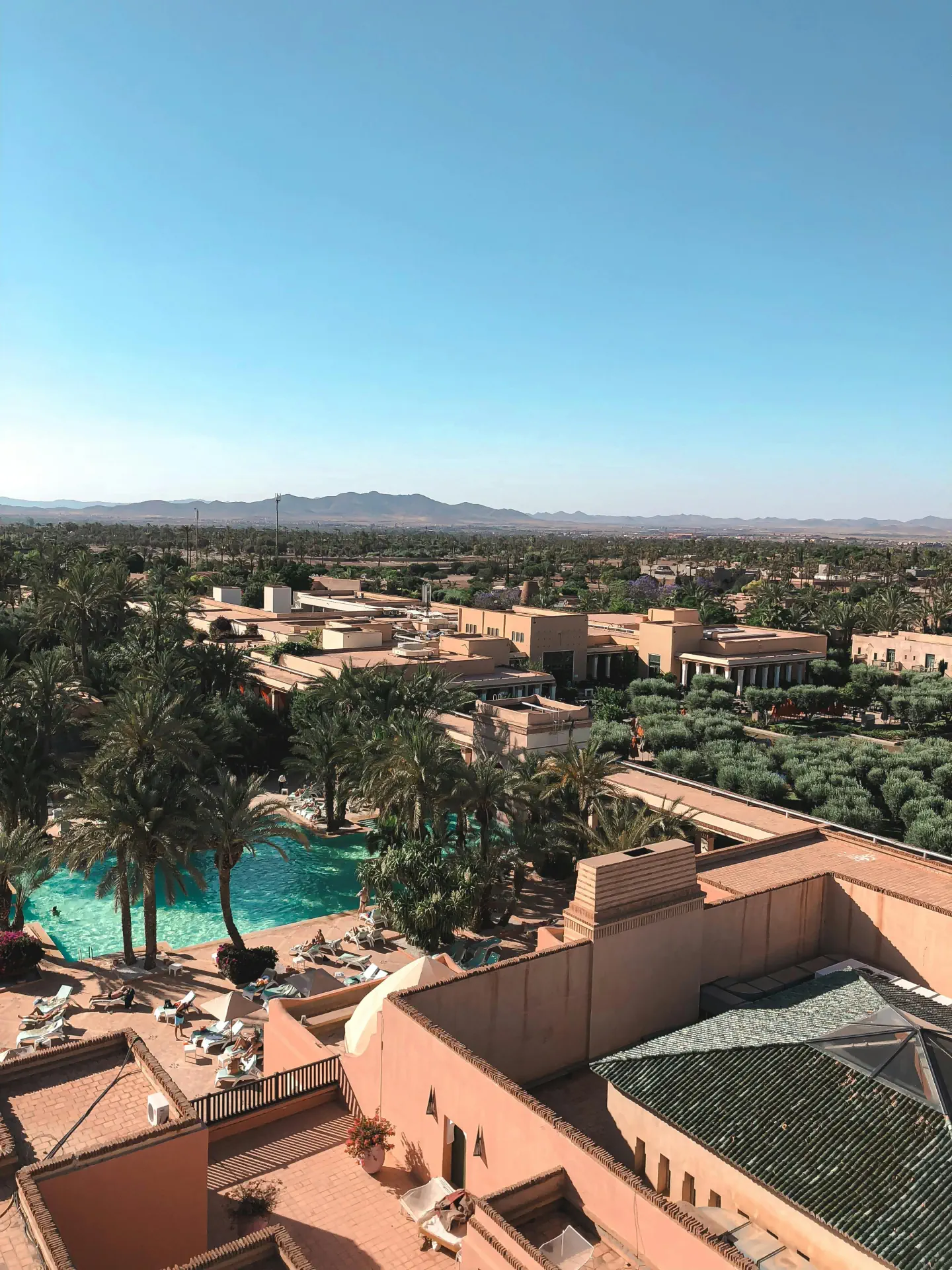 pexels-vince-4034155